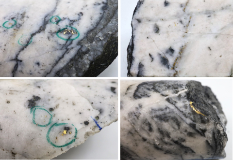 thumbnail Figure 1: Photos of mineralization: Top Left: at ~ 205m from NFGC-23-1306, Top Right: at ~ 154m from NFGC-23-1306, Bottom Left: at ~99.5m from NFGC-23-1312, Bottom Right: at ~129m from NFGC-23-1312. ^Note that these photos are not intended to be representative of gold mineralization in NFGC-23-1306 and NFGC-23-1312.