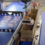Introducing ValTara SRL's PKR-Dual Delta Robot Cell: Revolutionizing Case Packing with Compact and Modular Design