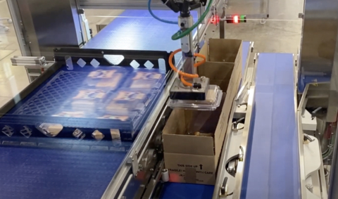 PKR-Dual robot pick and place cell for case packing (Photo: Business Wire)