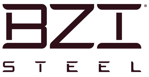 BZI Logo