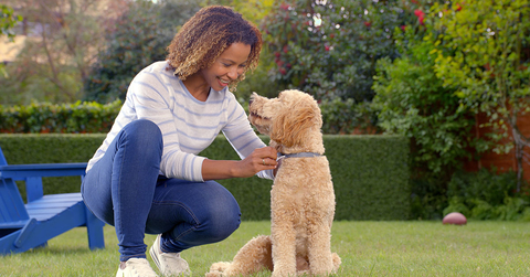 Woman_and_Dog_with_Seresto_Collar.jpg