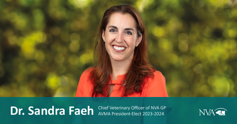 original (Photo: Business Wire)