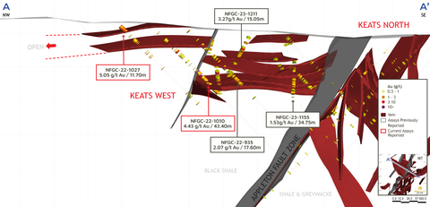 Figure 3. Keats West 3-D cross-section view, +/- 12.5m (looking northeast) (Photo: Business Wire)