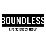 Boundless-LS-Group-logo.jpg