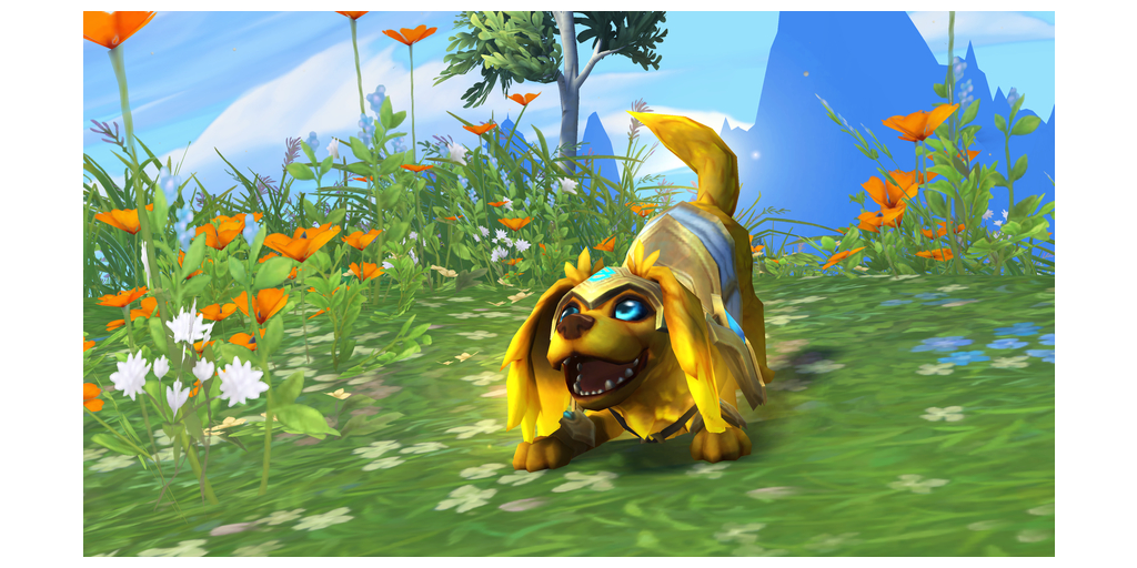 WOW CharityPet Modern Sunny
