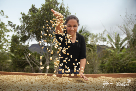 original Perú, a través de su agencia de promoción de las exportaciones (PROMPERÚ), ha desarrollado capacitaciones y estándares de certificación, para promover la oferta de productos sostenibles peruanos en el mundo. (Photo: Business Wire)