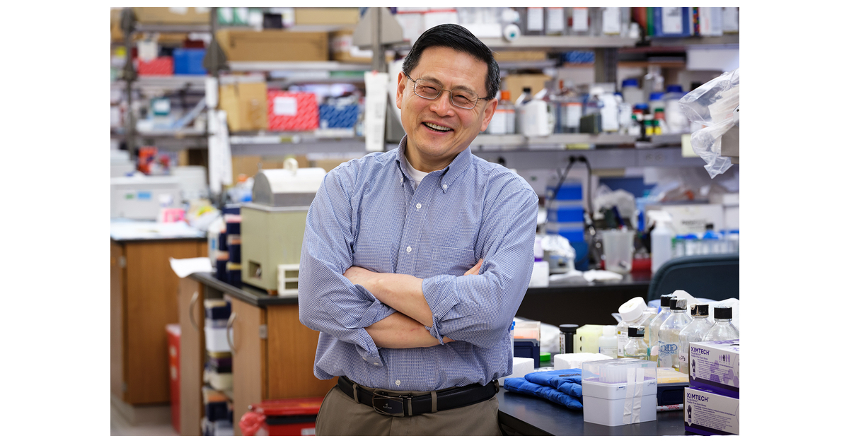 Feinstein Institutes’ Dr. Ping Wang Receives 2023 Mentor Award From the ...