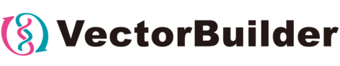 VectorBuilder Inc. Logo