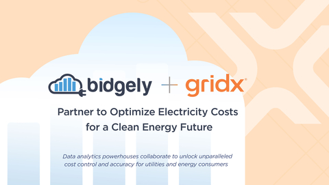 Partnership between Bidgely and GridX combines behind-the-meter consumption insights with highly accurate cost insights to optimize electricity costs for utilities and consumers. (Graphic: Business Wire)