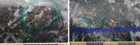 Figure 1: Photos of mineralization from NFGC-21-393 EXT at ~452m ^Note that these photos are not intended to be representative of gold mineralization in NFGC-21-393 EXT. (Photo: Business Wire)