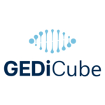 GEDi Cube Appoints Craig Rhodes as CEO