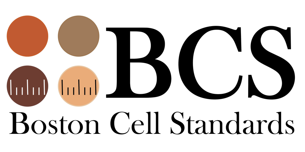 BCS Logo v5