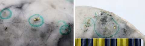 original Figure 1: Photos of mineralization from Left: at ~36m in NFGC-23-1154, Right: at ~107m in NFGC-23-1402. ^Note that these photos are not intended to be representative of gold mineralization in NFGC-23-1154 and NFGC-23-1402. (Photo: Business Wire)