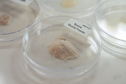 Cell-based Protein Powder (Photo: Simple Planet)