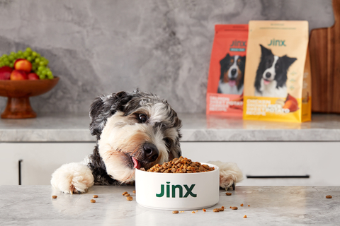 Hyper-growth dog food company, Jinx, secures Series B financing for explosive retail business expansion and innovation investments (Photo: Business Wire)