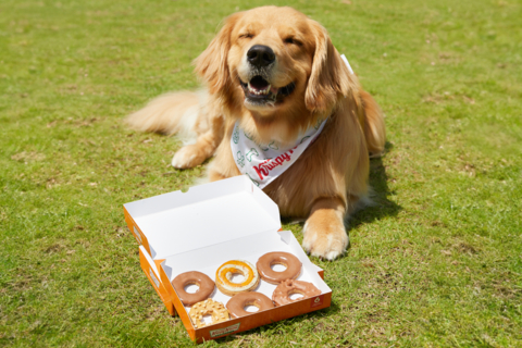 Inspired by Krispy Kreme’s popular Pumpkin Spice doughnut collection that launched earlier this month, Pup’kin Spice Doggie Doughnuts are handmade doughnut-shaped biscuits for dogs and will be available through Aug. 31 at participating shops across the U.S. while supplies last. (Photo: Business Wire)