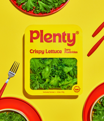 Plenty's pesticide-free, indoor-grown crispy lettuce is one of four of the company's leafy greens varieties now available throughout California (Photo: Business Wire)