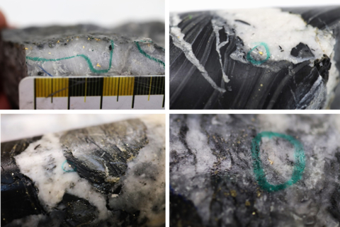 Figure 1: Photos of mineralization from: Top Left: NFGC-22-952 at ~188.3m, Top Right NFGC-23-1303 at ~24m, Bottom Left: NFGC-23-1315 at ~41m, Bottom Right: NFGC-23-1391 at ~8.6m. ^Note that these photos are not intended to be representative of gold mineralization in NFGC-22-952, NFGC-23-1303, NFGC-23-1315 and NFGC-23-1391. (Photo: Business Wire)