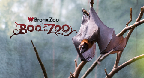 Boo at the Zoo is coming this fall to the Bronx Zoo (Photo: Business Wire)