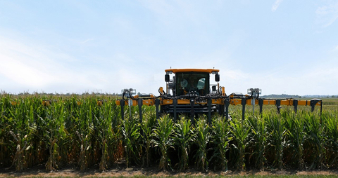 The advancement of Bayer’s short-stature corn is in the center of the new collaboration of Bayer and Pairwise. (Photo: Business Wire)