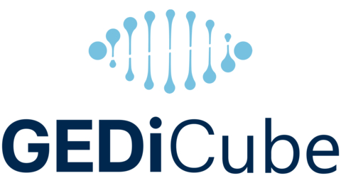 GEDiCube Logo