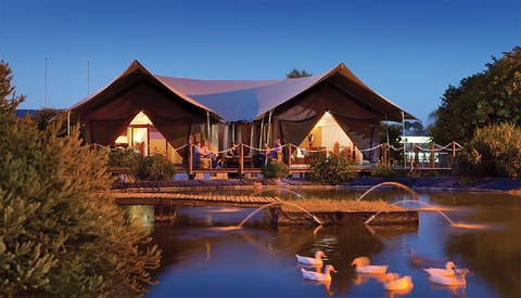 Six Flags Wild Safari presents Savannah Sunset Resort & Spa (Photo: Business Wire)
