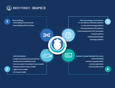 Biocytogen Establishes Two Business Divisions to Distinguish Preclinical Models and Services (BioMice) From Antibody Drug R＆D