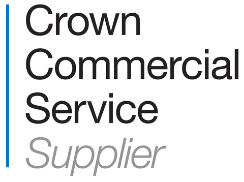 Crown Commercial Service (CCS) supports the UK public sector to achieve maximum commercial value when procuring common goods and services. (Graphic: Business Wire)