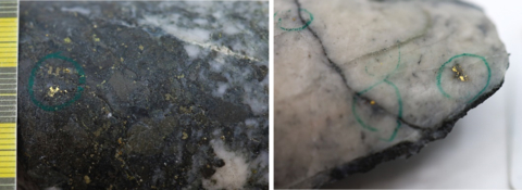 Figure 1: Photos of mineralization from: Left: ~38m in NFGC-23-1425, Right: at ~22.5m in NFGC-23-1423. ^Note that these photos are not intended to be representative of gold mineralization in NFGC-23-1423 and NFGC-23-1425. (Photo: Business Wire)