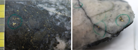 original Figure 1: Photos of mineralization from: Left: ~38m in NFGC-23-1425, Right: at ~22.5m in NFGC-23-1423. ^Note that these photos are not intended to be representative of gold mineralization in NFGC-23-1423 and NFGC-23-1425. (Photo: Business Wire)