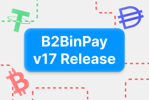 B2BinPay v17 Release (Graphic: Business Wire)