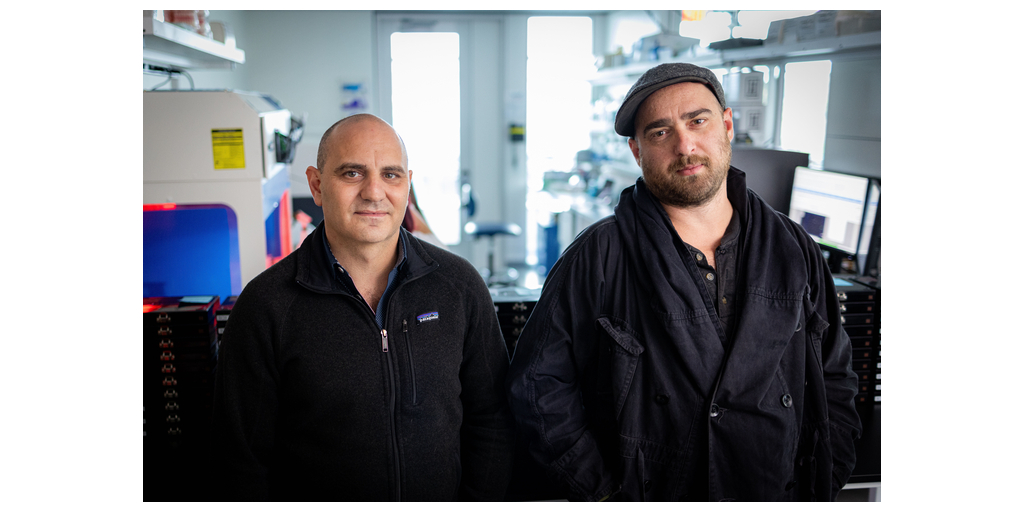 Noetik Raises $14 Million Seed Financing to Revolutionize Cancer ...