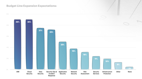 Graph showing the expected areas of budget line expectations with the top 3 areas being Identity & Access Management, Cloud Security, and Data Security (Graphic: Business Wire)