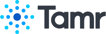 Tamr Inc. Logo