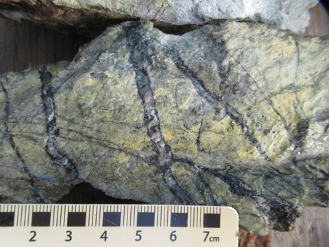 Figure 2 - Silicified and epidote altered rock with quartz stockwork and pyrite mineralization. (Photo: Business Wire)
