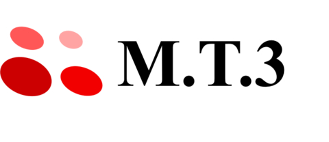 Malignant Tumor Treatment Technologies, Inc. Logo