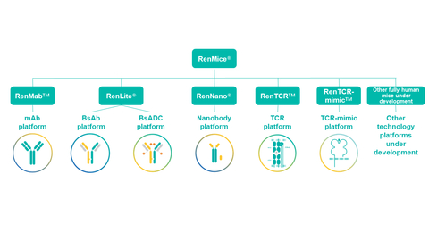 RenMice系列小鼠及應用其構建的全人抗體/TCR技術平臺 （圖片：美國商業資訊）
