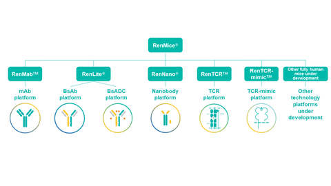 Biocytogen Officially Launches RenMice® Series