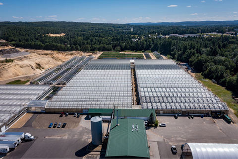 original La pépinière Pleasant View Gardens, basée dans le New Hampshire (États-Unis), est un important producteur de boutures et de plantes distribuées aux États-Unis. En faisant appel à la solution d’éclairage dynamique DEL de Sollum®, l’entreprise bénéficiera de la flexibilité unique offerte par ses luminaires pour répondre aux différents besoins de sa production de qualité. Crédit photo : Pleasant View Gardens