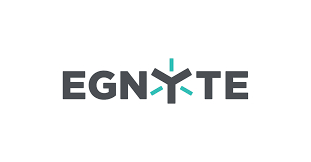 Egnyte Logo