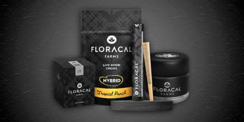 Cresco Labs expanded its brand portfolio in Florida to include a suite of flower and live rosin products from its premium FloraCal and Cresco brands. (Photo: Business Wire)