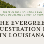 トレイス・カーボン・ソリューションズおよびモルパス・ウッドランズ・グループ、ルイジアナ州のエバーグリーン貯留ハブを発表