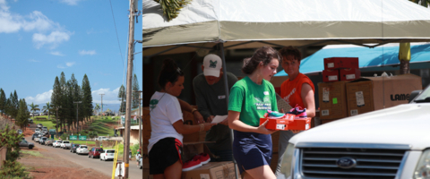 Cars lined up for more than three miles in Maui to receive LâMO Sheepskin Inc.'s donation. (Photo: Business Wire)