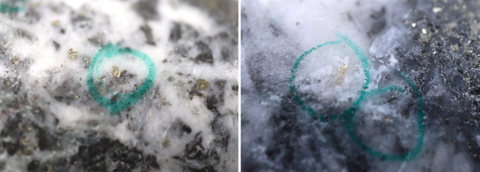 Figure 1: Photos of mineralization, Left: at ~53m in NFGC-23-1465, Right: at ~163.5m in NFGC-23-1107 ^Note that these photos are not intended to be representative of gold mineralization in NFGC-23-1107 and NFGC-23-1465. (Photo: Business Wire)