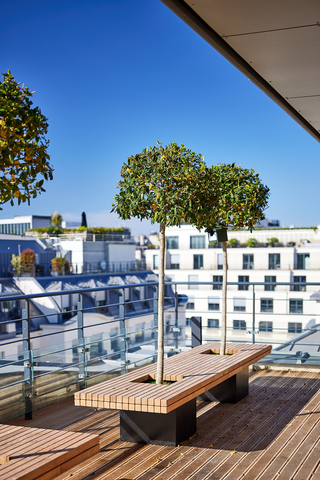 original Cézanne Saint-Honoré (Paris 8e) - SFL © Studio2Terre