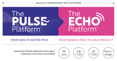 Introducing Cellistic's Pulse + Echo Platforms: The Pulse Platform: Cell line development, From idea to edited iPSCs. Cellistic's Pulse Platform for cell line development provides everything you need – the tools, the systems, the space, and the thinking – to drive toward your perfect cell while dramatically reducing your timelines. The Echo Platform: Cell manufacturing, From banked iPSCs to drug product. Cellistic's Echo Platform for cell therapy manufacturing is built-to-scale to be highly efficient from the ground up, shortening your final mile to a final product. (Graphic: Business Wire)