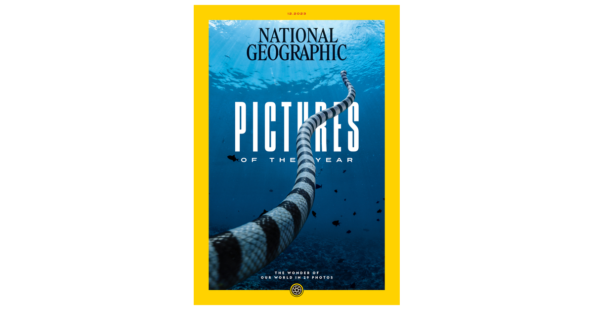 National Geographic's 2023 Pictures of the Year showcases 29