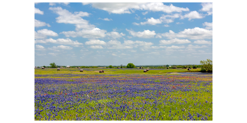 Milestone Carbon Announces Land Agreement for Carbon Hub Development in the Permian Basin