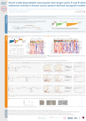 Novel orally bioavailable macrocycles that target cyclin A and B elicit antitumor activity in breast cancer patient-derived xenograft models, presented by Circle Pharma and VHIO