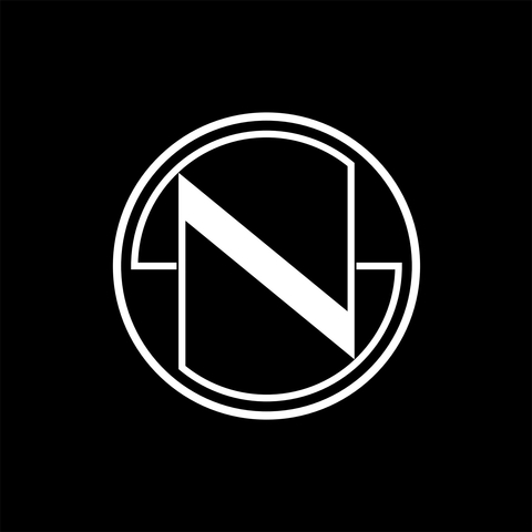 Nest Seekers International Logo